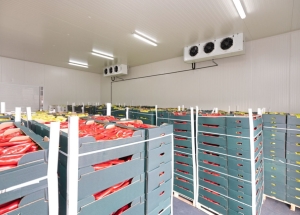 Cold Storage & Refrigeration